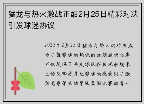 猛龙与热火激战正酣2月25日精彩对决引发球迷热议