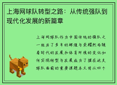 上海网球队转型之路：从传统强队到现代化发展的新篇章